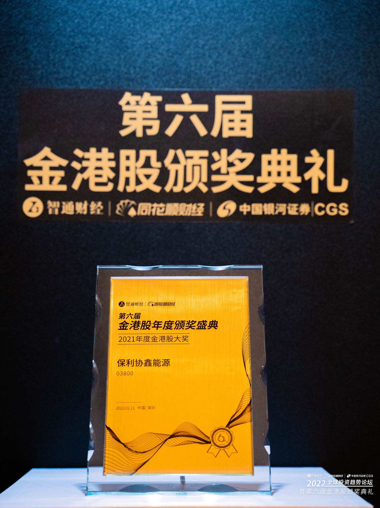 实力认证！保利协鑫能源一举揽获四项大奖(图2)